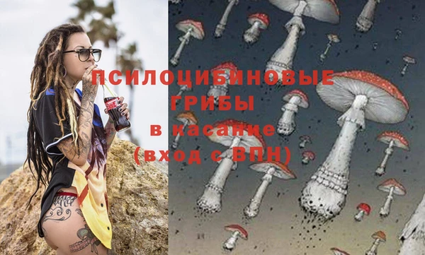 бошки Волосово