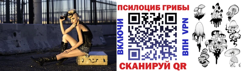 Псилоцибиновые грибы мухоморы  darknet Telegram  KRAKEN маркетплейс  Каргат  где можно купить  
