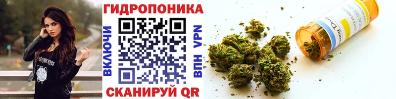 даркнет сайт  Каргат  Канабис план 